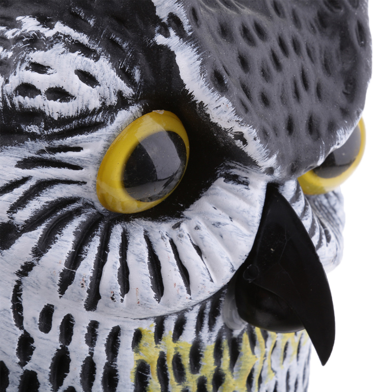 owl3-4.jpg