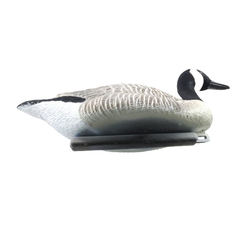 Goose1.jpg